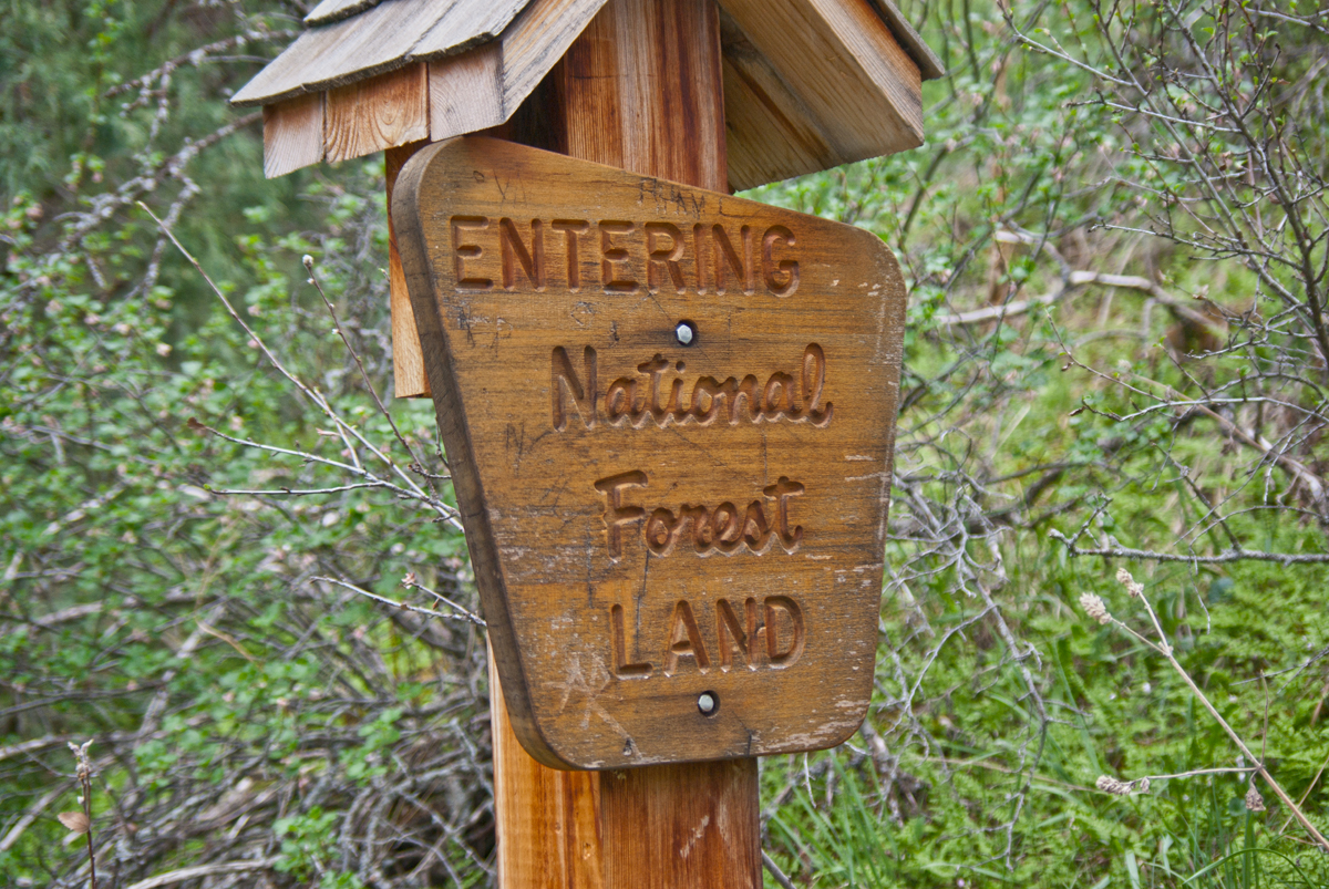 Entering National Forest Land